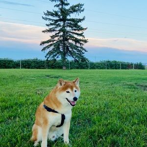 Meet your Posher, Ivette